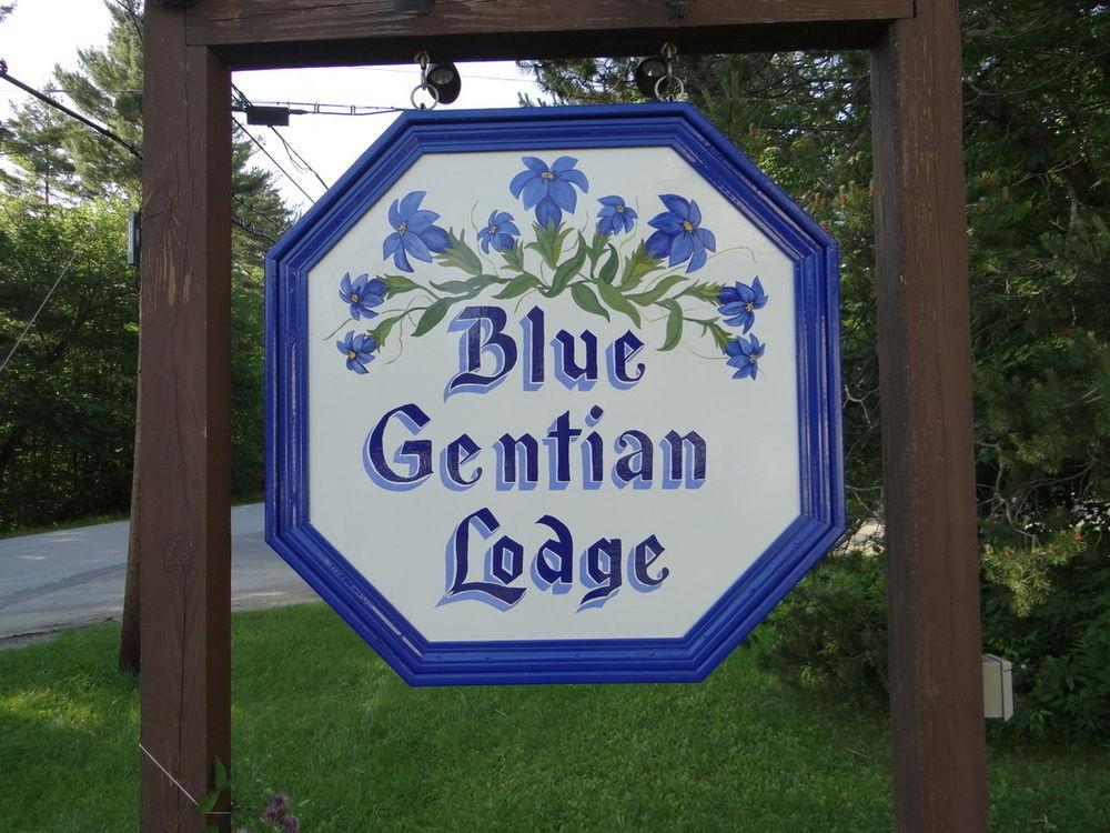 Blue Gentian Lodge At Magic Mountain Londonderry Εξωτερικό φωτογραφία