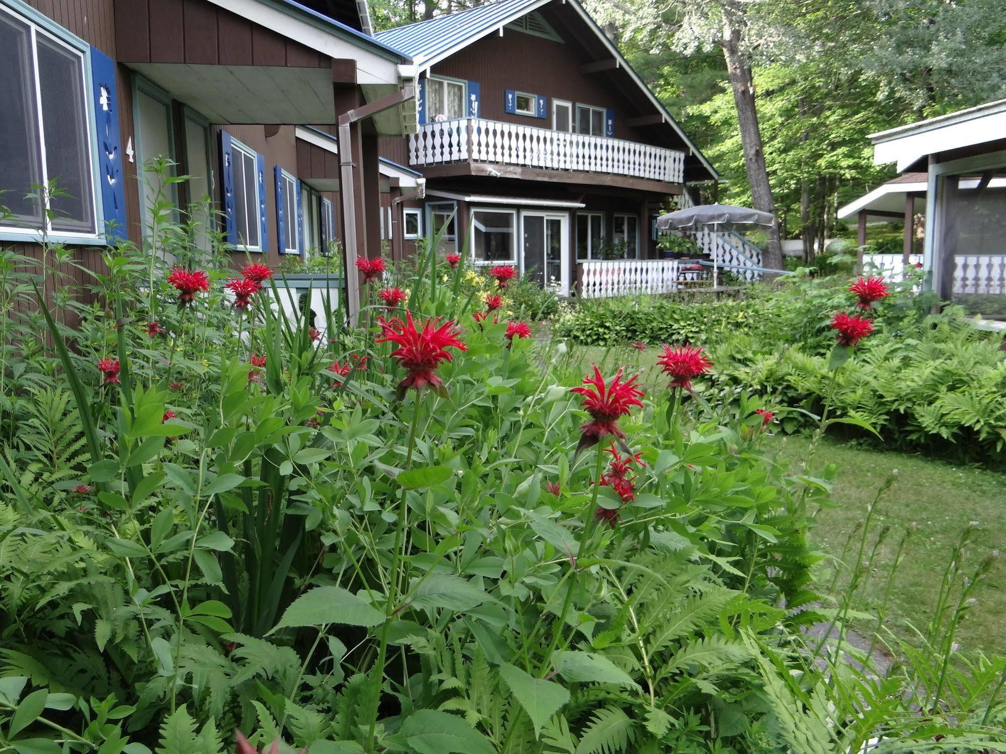 Blue Gentian Lodge At Magic Mountain Londonderry Εξωτερικό φωτογραφία